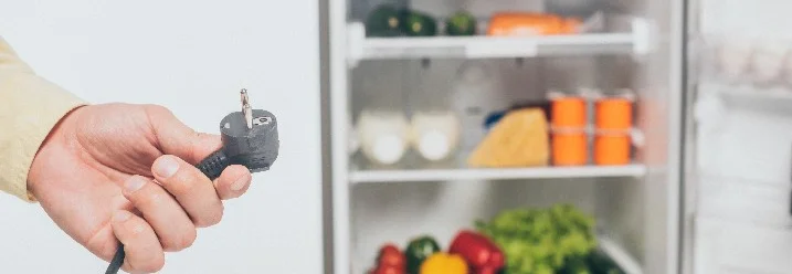 Person hält einen Kühlschrank-Stecker in der Hand